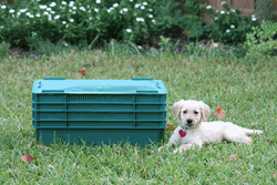 tumbleweedwormcomposterpoop Pet poop converter Tumbleweed worm bin